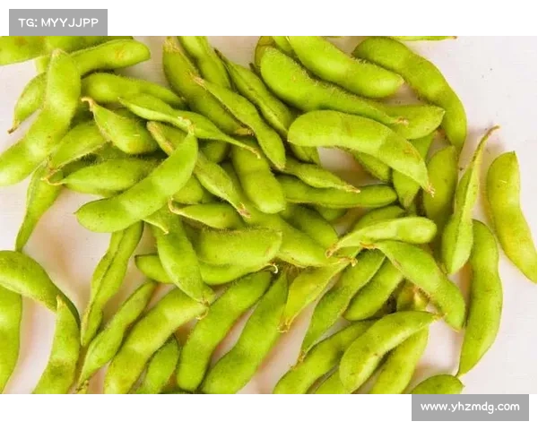 摩尔庄园毛毛豆获取秘籍全解析 快速培养毛毛豆的方法和技巧 摩尔庄园毛毛豆获取秘籍全解析 快速培养毛毛豆的方法和技巧