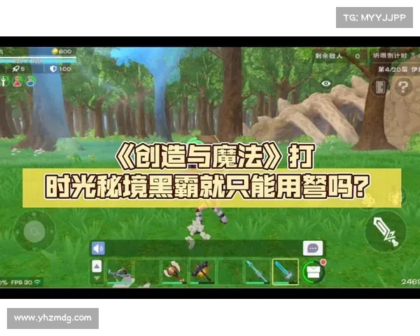 幻影纹章魔法秘境探索全攻略:深入洞察谜题解锁与资源获取技巧 幻影纹章魔法秘境探索全攻略:深入洞察谜题解锁与资源获取技巧