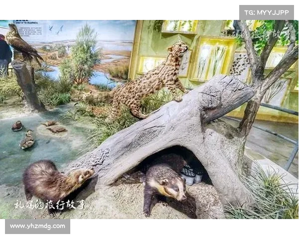 走进神兽森林揭开上古奇幻生灵的秘密与自然共生的神秘篇章 走进神兽森林揭开上古奇幻生灵的秘密与自然共生的神秘篇章