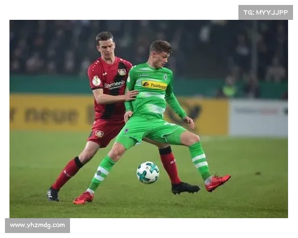 安联赞助商五大核心特点全面解析助力品牌价值与体育共赢